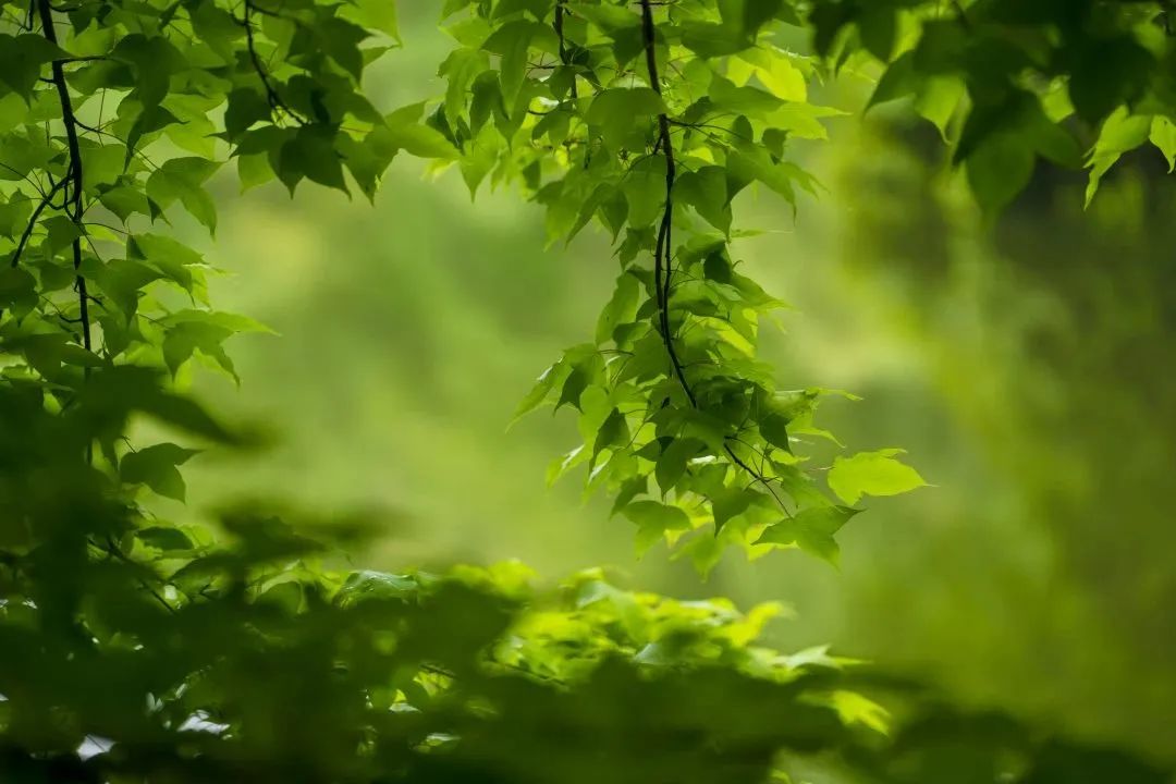 DƬ